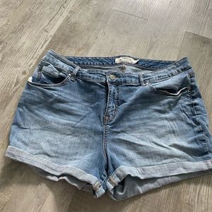 Torrid Shorts
